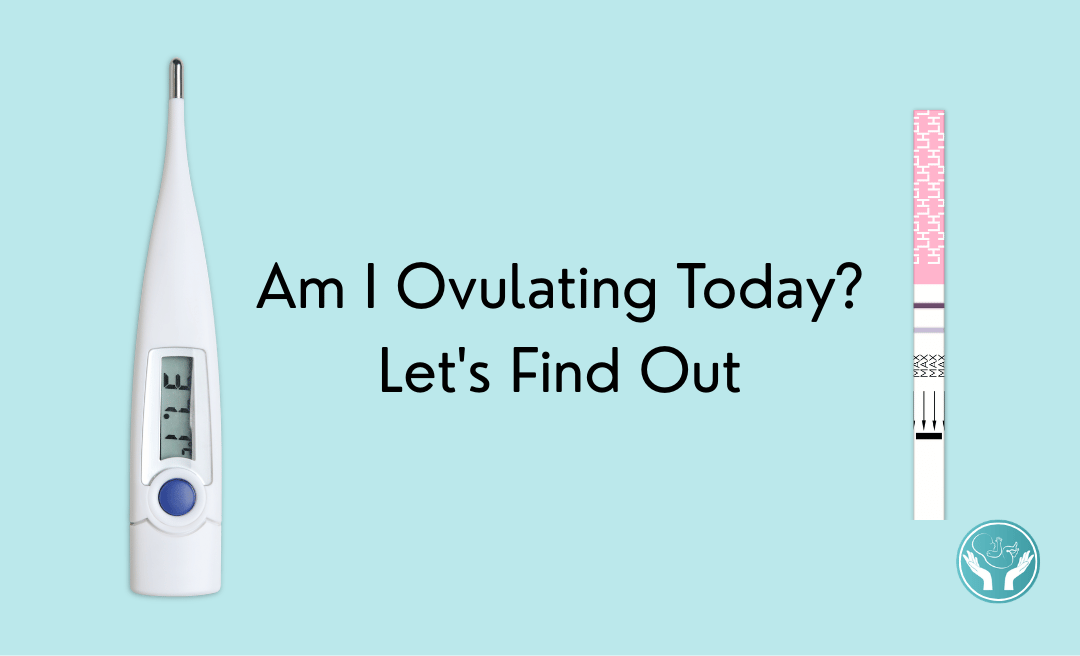 Am I Ovulating Today? Let's Find Out