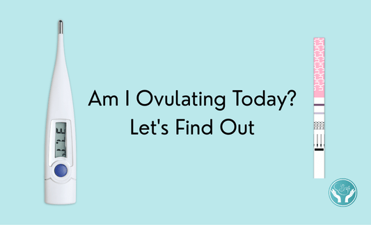 Am I Ovulating Today? Let's Find Out