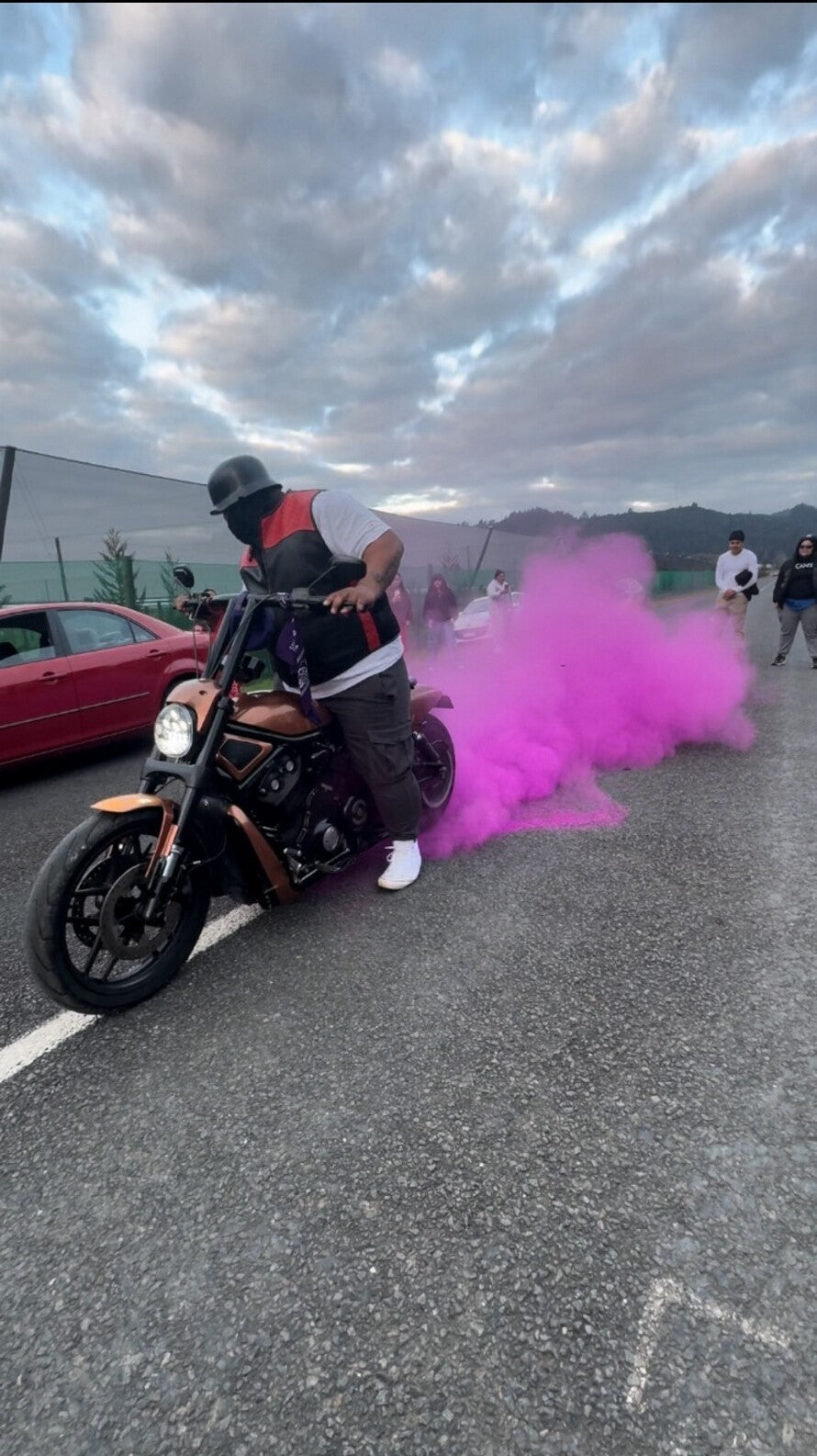 Gender Reveal Burnout Bag